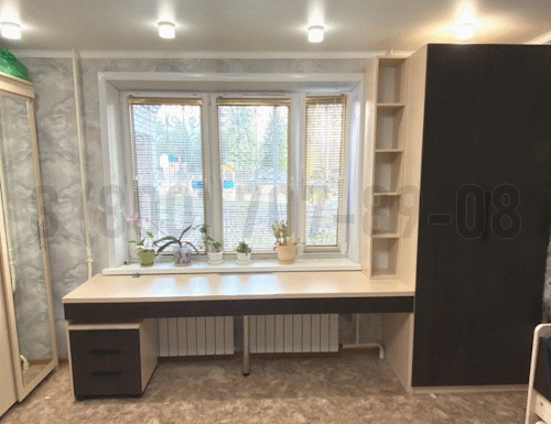 Рабочая зона модель r106 купить в Жуковском